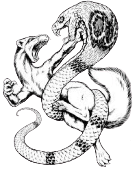 Roughneck Wrestling Club Detroit logo